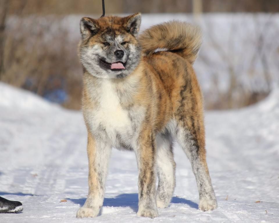 Publication : De La Plume Sélène