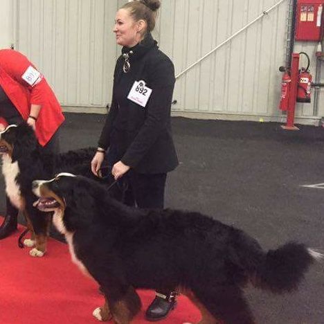 Leïka Du Domaine De Crécy Pompadour - EXCELLENT