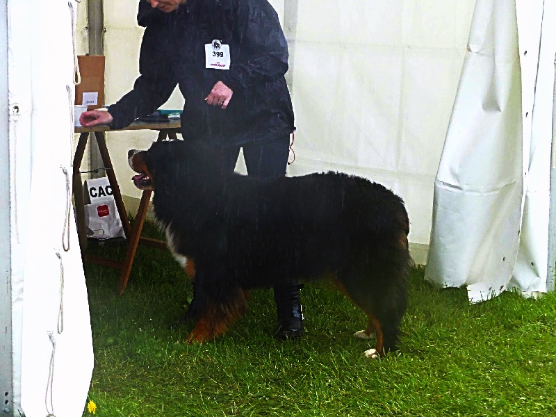Leïka Du Domaine De Crécy Pompadour - Très Bon