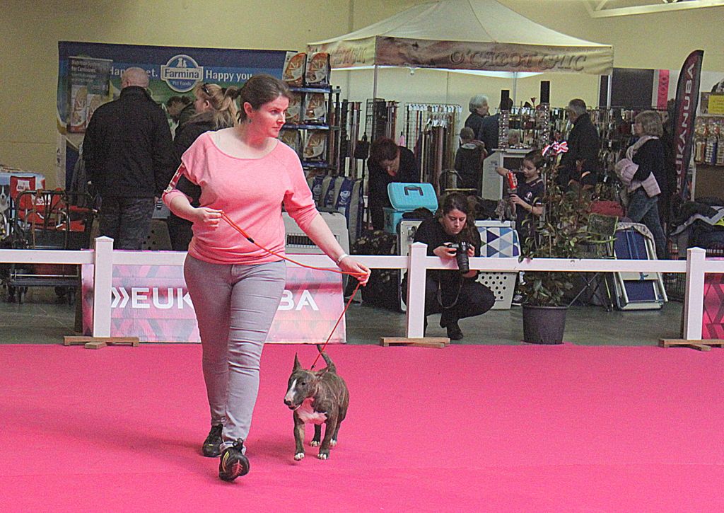 Loly pop Aristocratie De Paris - excellente