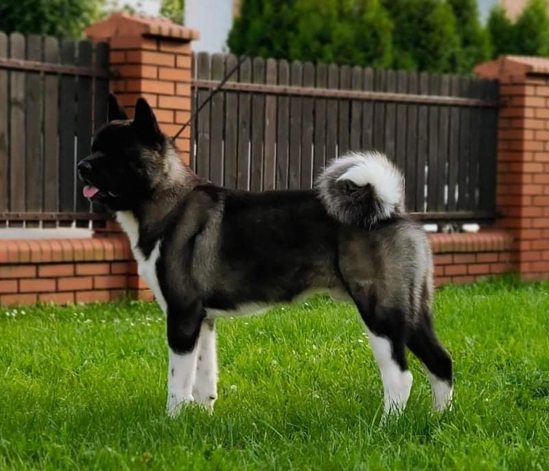 Publication : Du Clos De La Horde