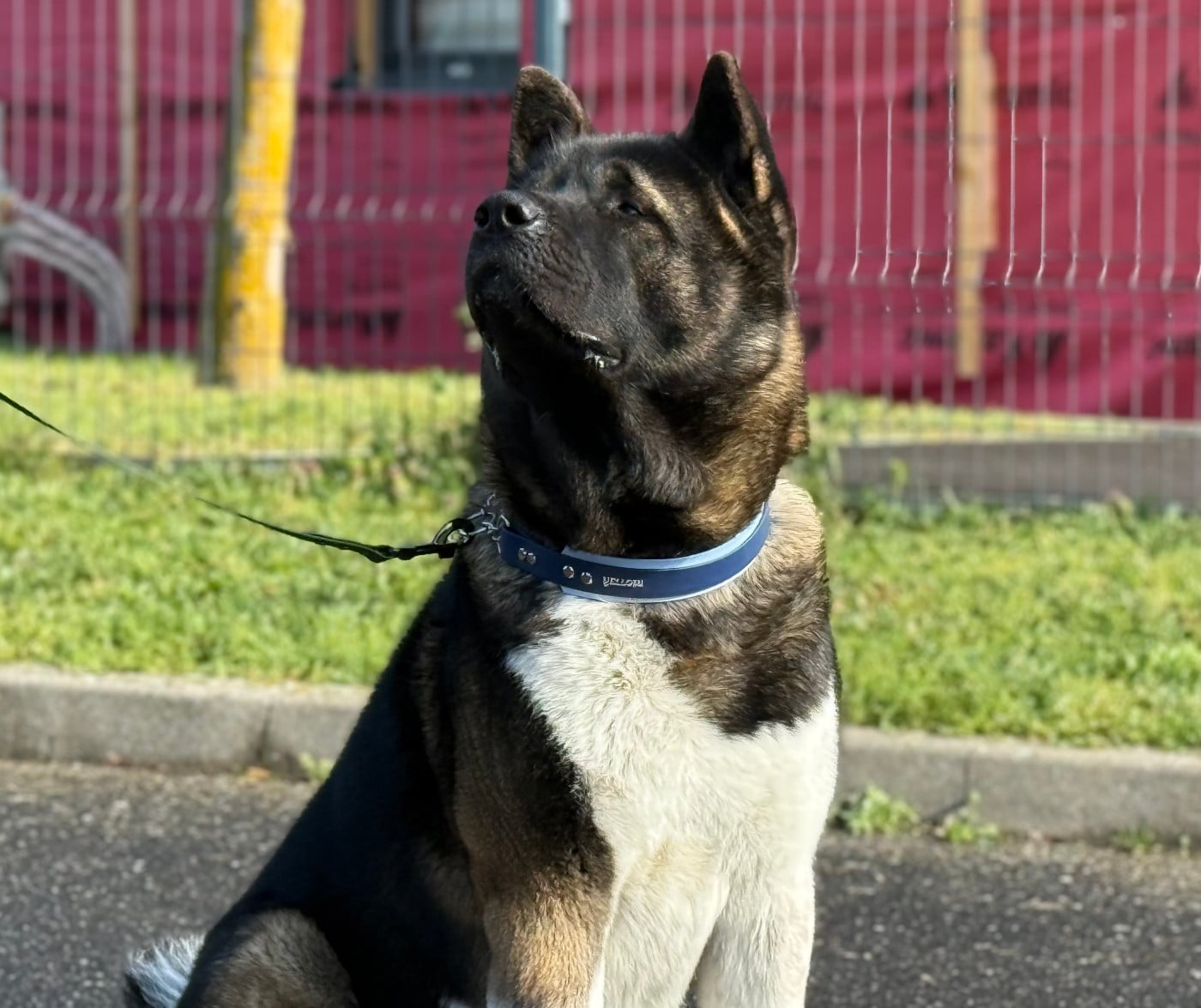 Toyokumono no kami Du Clos De La Horde