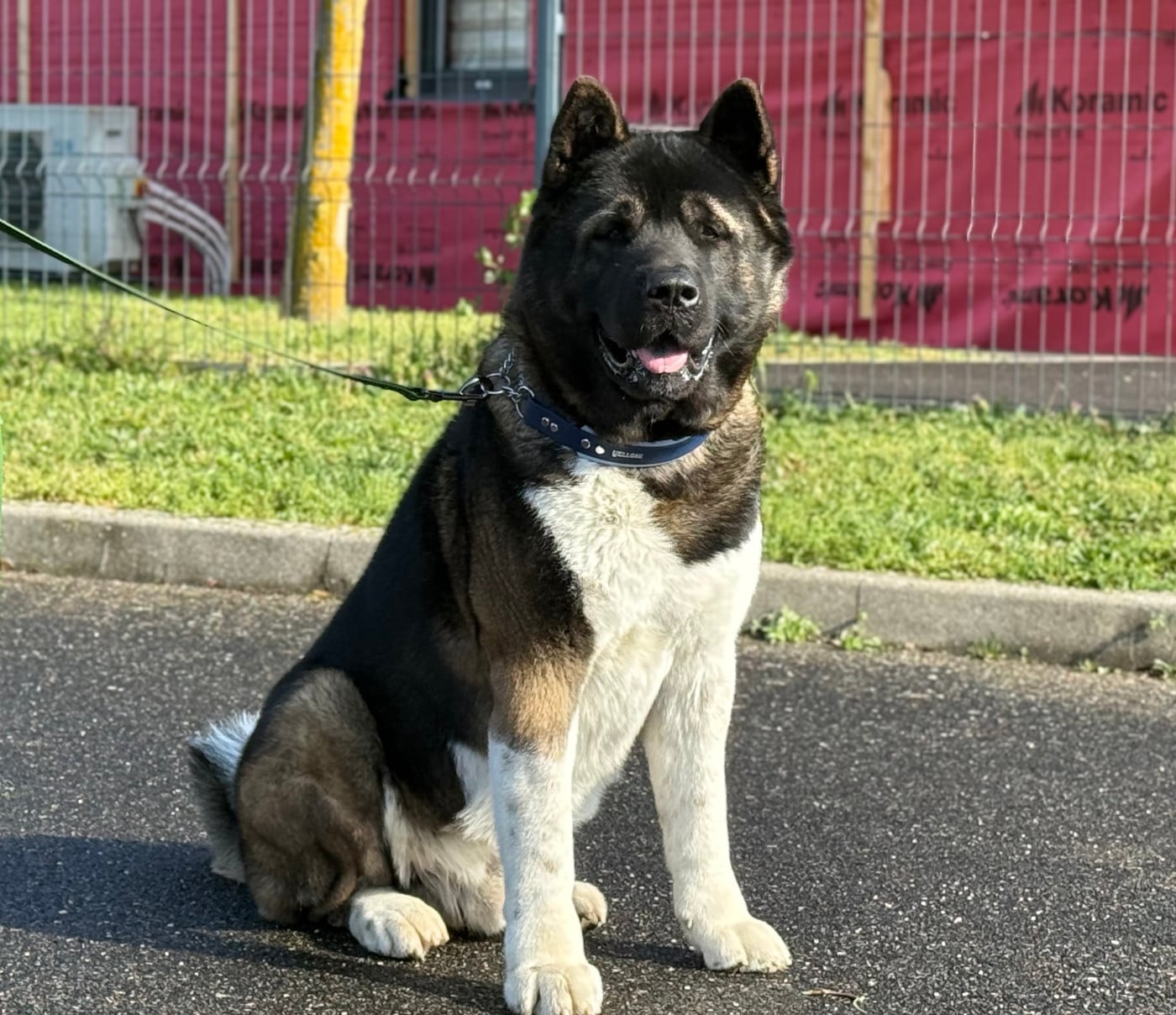 Toyokumono no kami Du Clos De La Horde