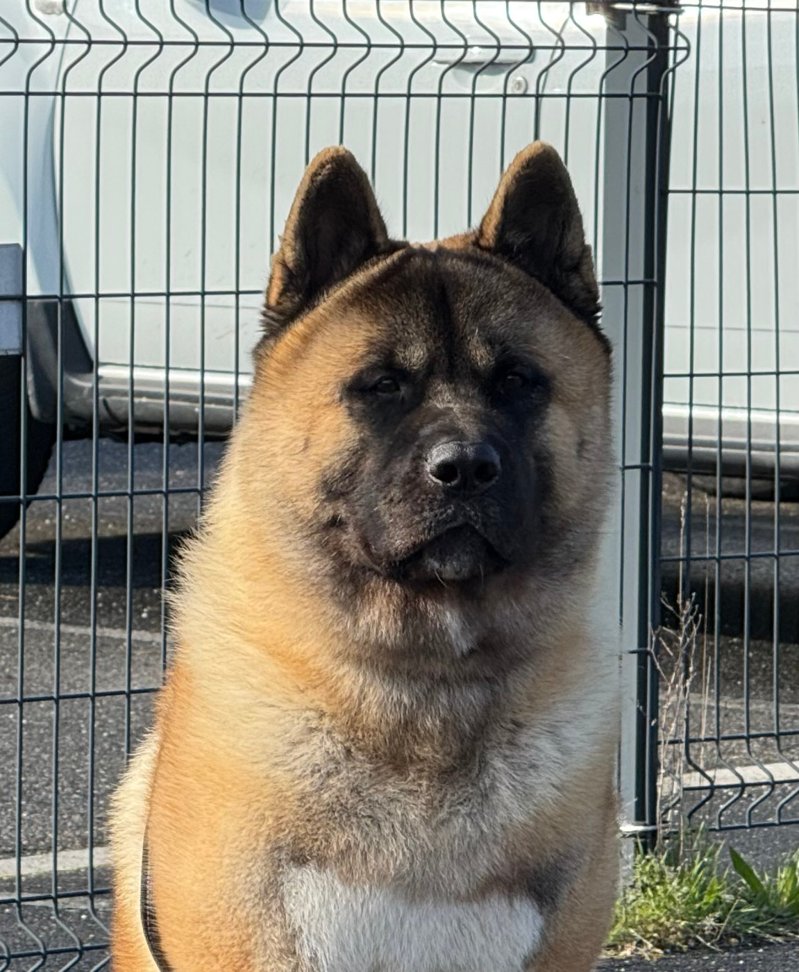 Veldra Du Clos De La Horde