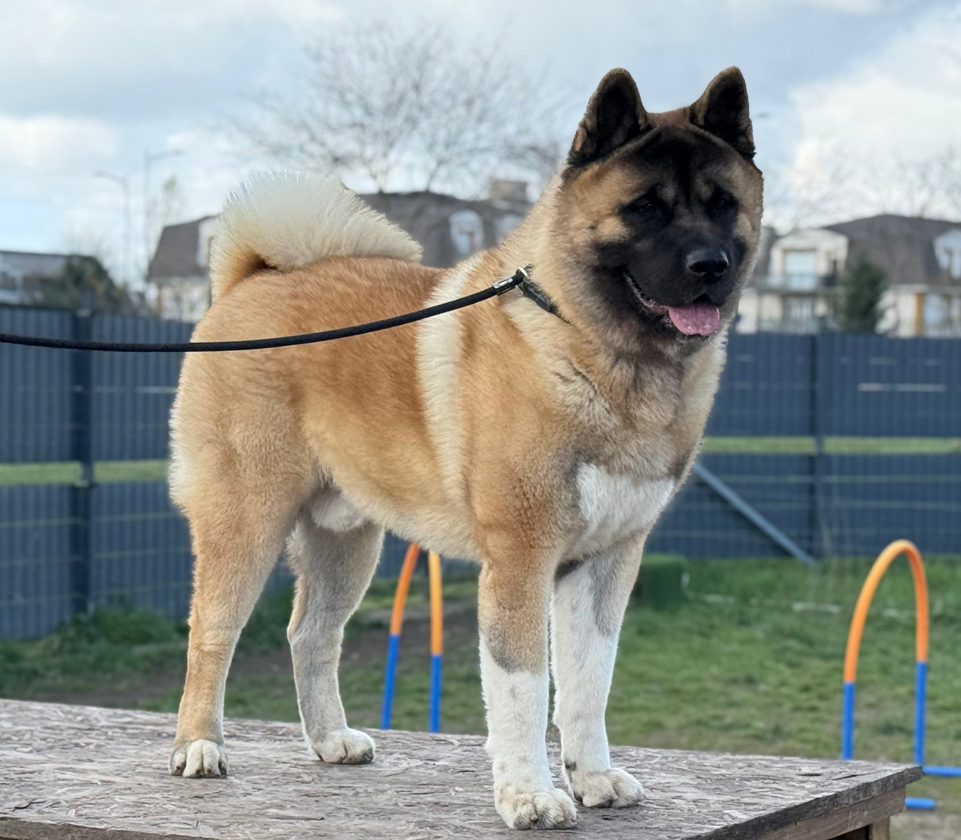 Veldra Du Clos De La Horde