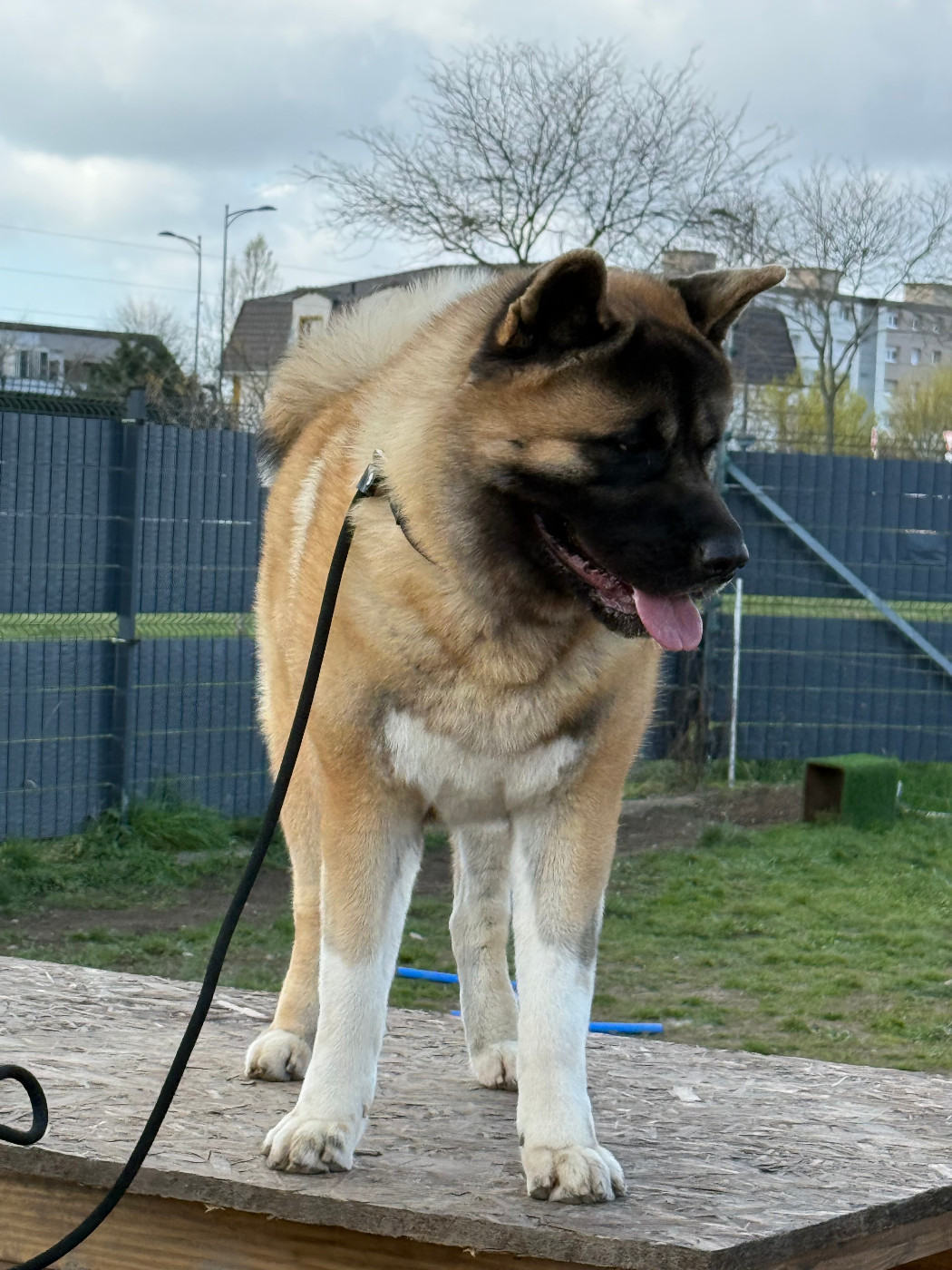 Veldra Du Clos De La Horde