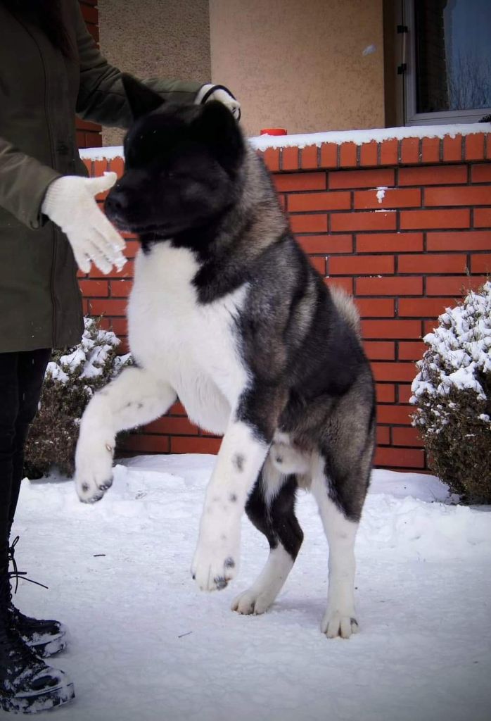 Publication : Du Clos De La Horde