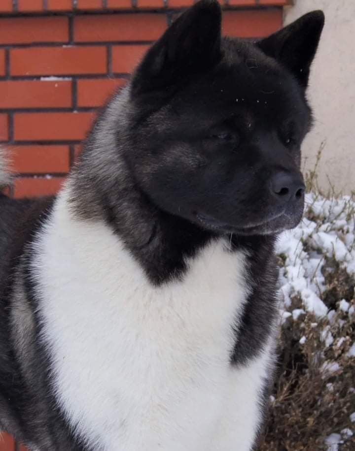 Publication : Du Clos De La Horde