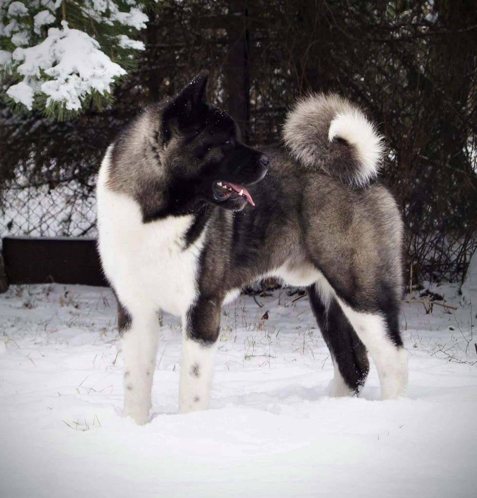 Publication : Du Clos De La Horde