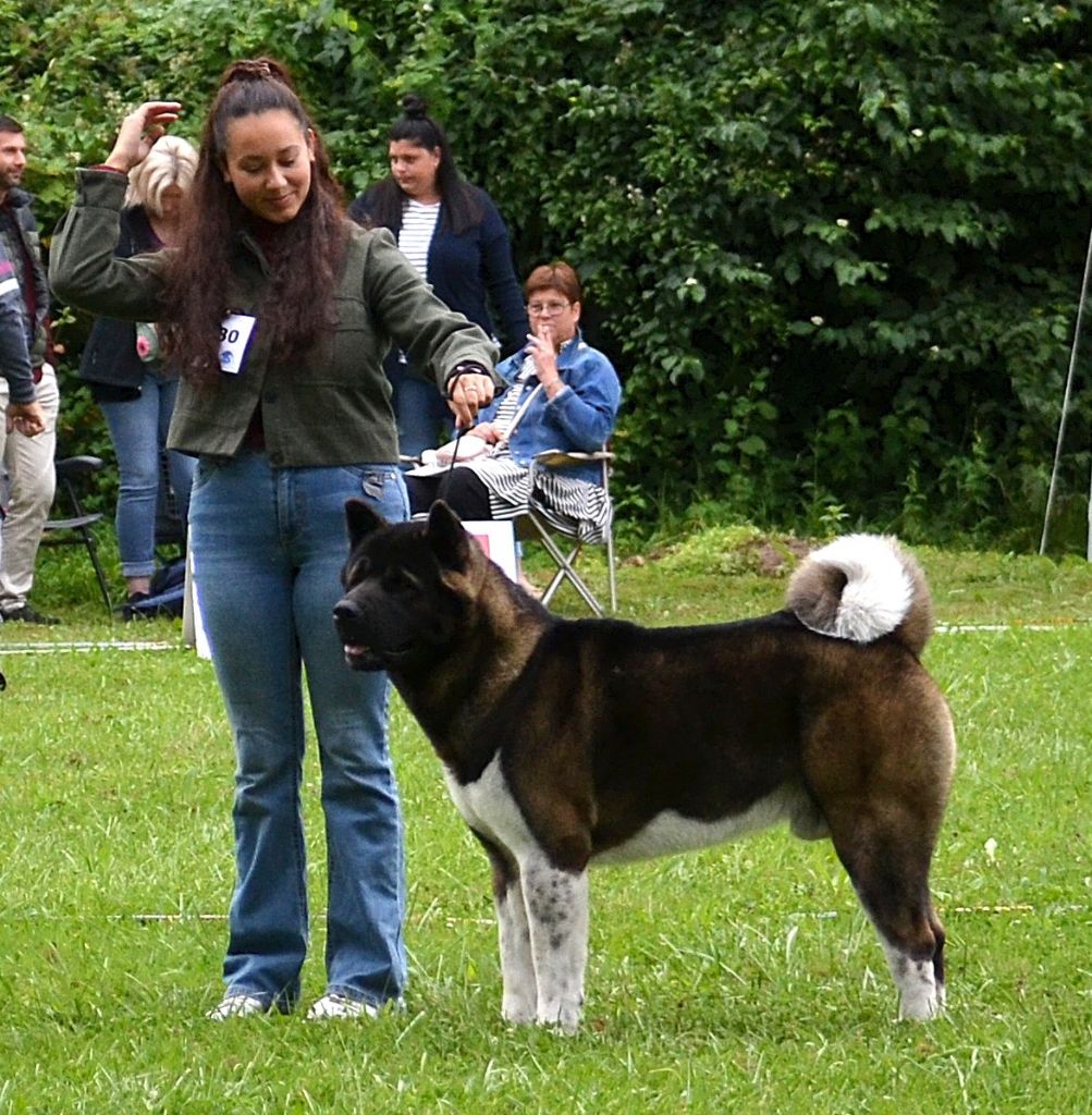 Toyokumono no kami Du Clos De La Horde - 1 Excellent CACS MEILLEUR SEXE OPPOSE