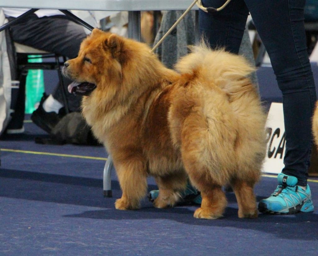 Tahiti Du Clos De La Horde - 3ème Très bon