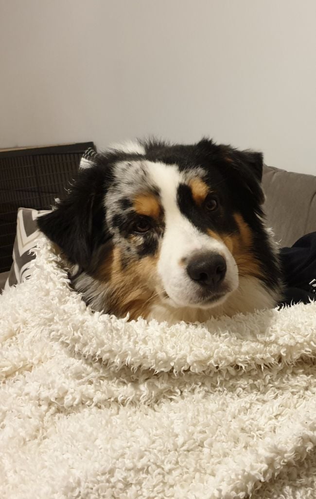 Publication : Des Terres Ardentes De Gaia