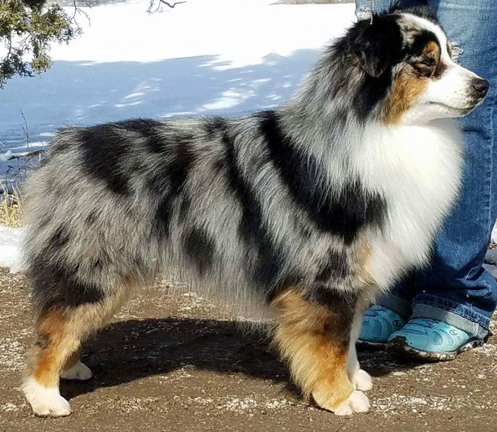 Publication : Des Terres Ardentes De Gaia