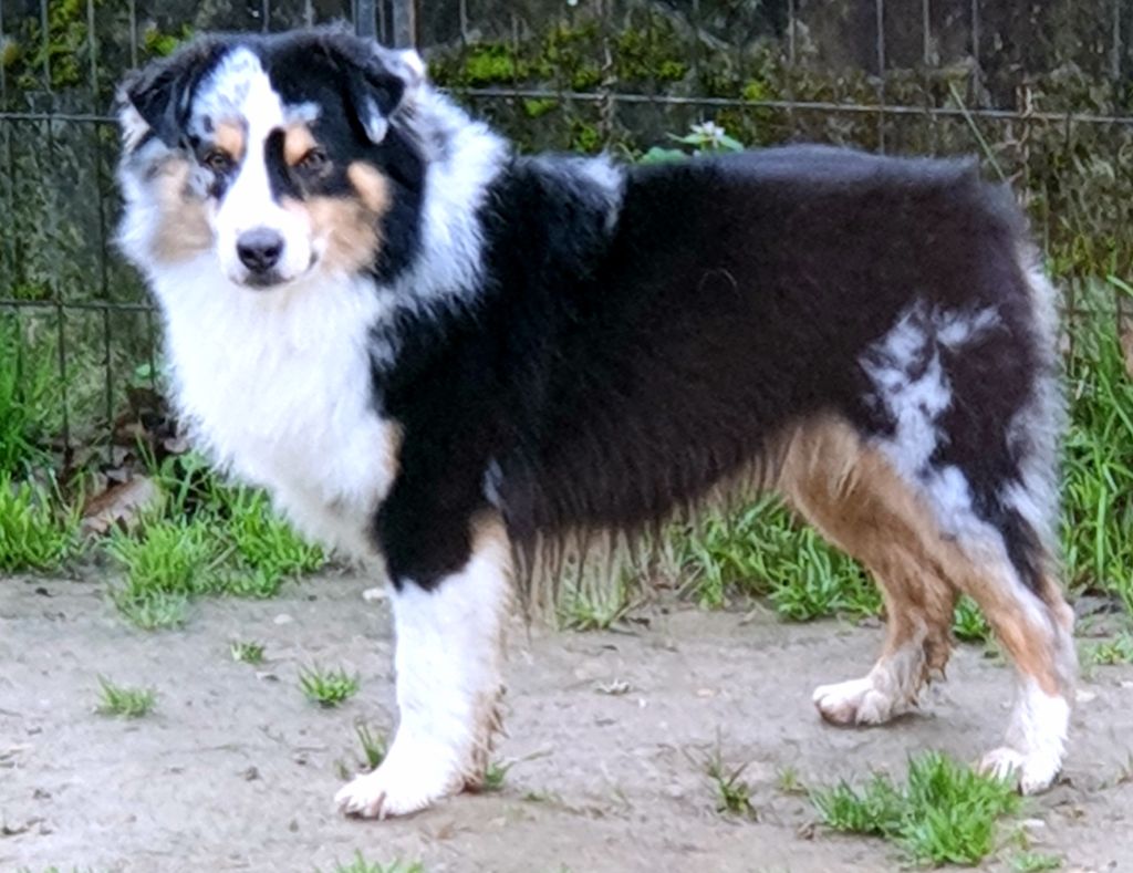 Publication : Des Terres Ardentes De Gaia