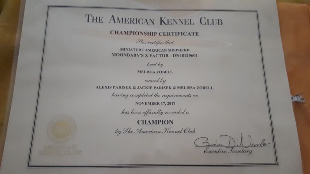 Publication : Des Terres Ardentes De Gaia