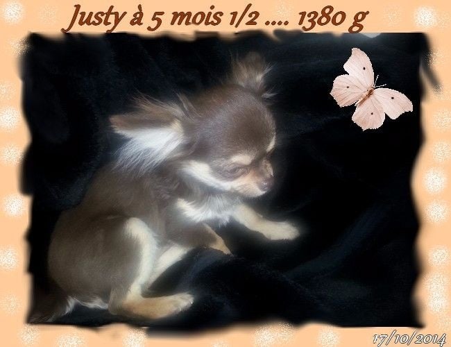 Just a dream of choco des P'tits Sucres d'Orge