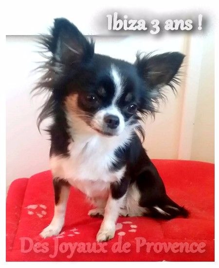 Ibiza Des P'tits Bouts De L'alba