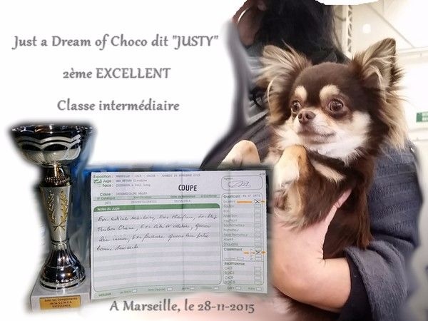 Just a dream of choco des P'tits Sucres d'Orge