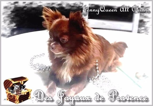 Jennyqueen all choco (Sans Affixe)
