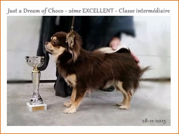 Just a dream of choco des P'tits Sucres d'Orge
