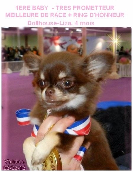 Dollhouse Liza