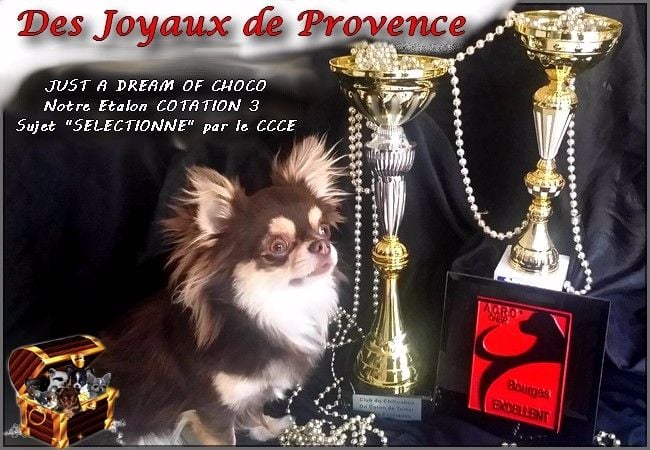 Just a dream of choco des P'tits Sucres d'Orge