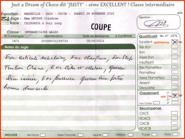 Just a dream of choco des P'tits Sucres d'Orge