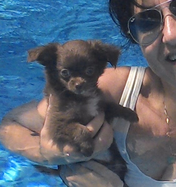 Jennyqueen all choco (Sans Affixe)