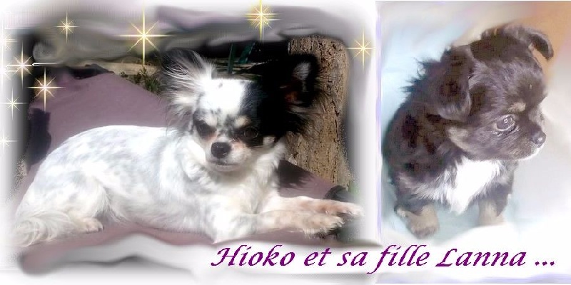 Hioko-ono De La Plaine D'illiberis