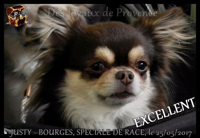 Just a dream of choco des P'tits Sucres d'Orge