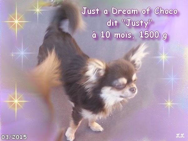 Just a dream of choco des P'tits Sucres d'Orge