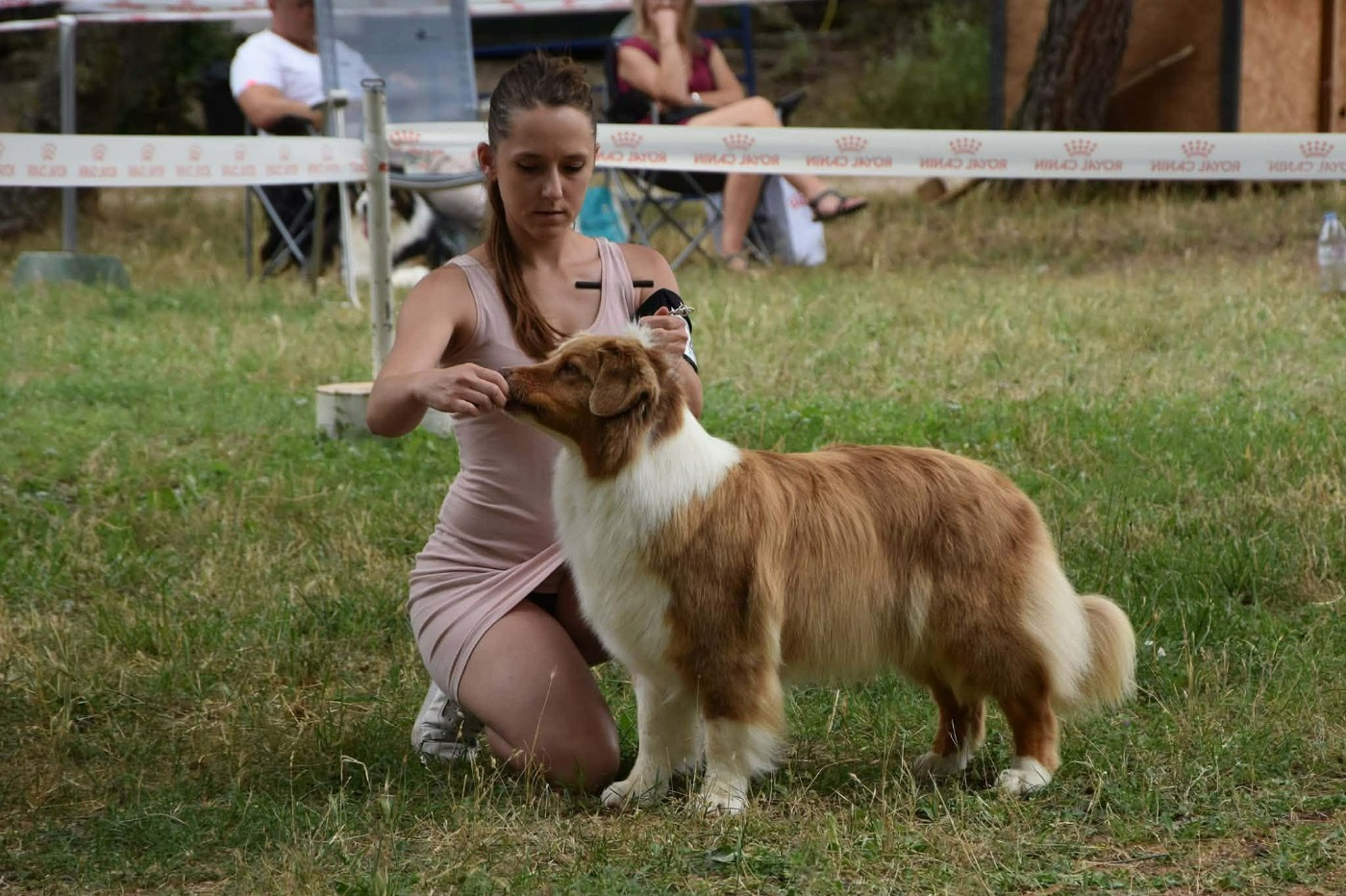 Haba dit 'maya' du domaine des Mandets