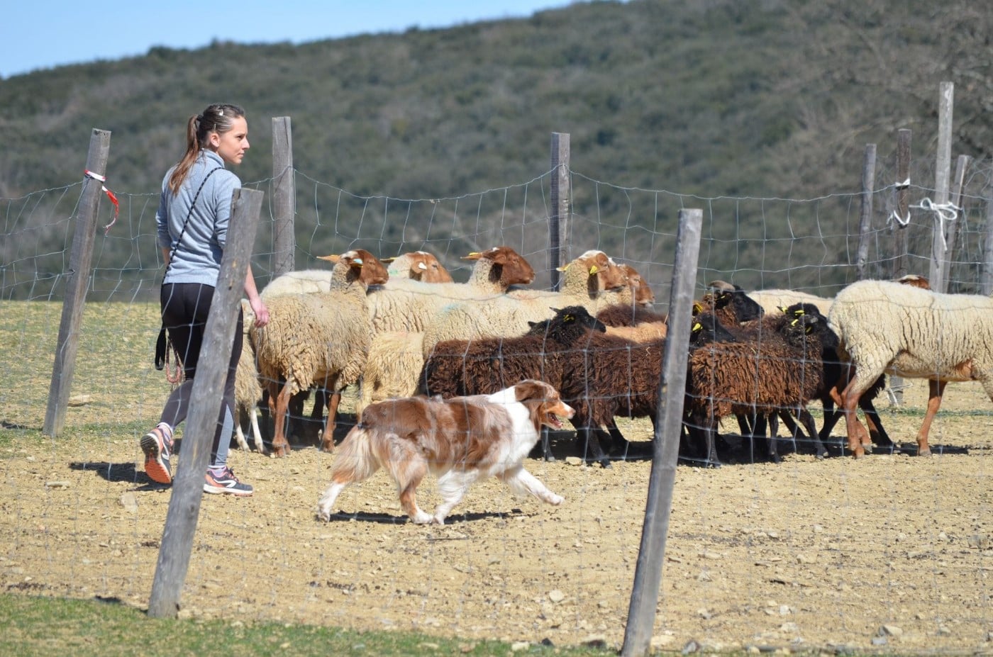 Lady daenerys targaryen Des Bergers Du Temple Maya