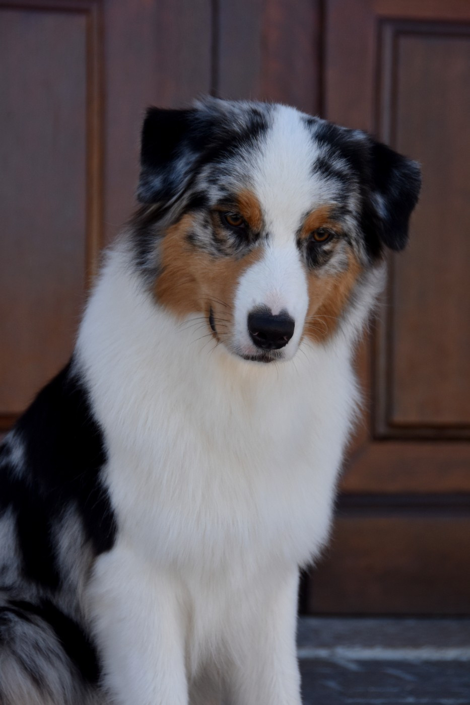 Aerosmith amazing dire raven Del Diamante Azul