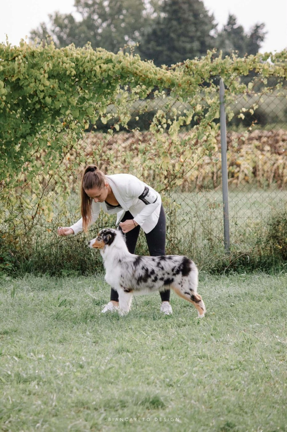 Aerosmith amazing dire raven Del Diamante Azul - 4 ème Très prometteur