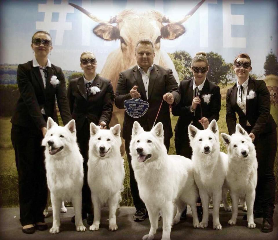 CH. Juan aiko ptits loups d´amour - Finale 3e prix lot reproducteur toutes races confondues