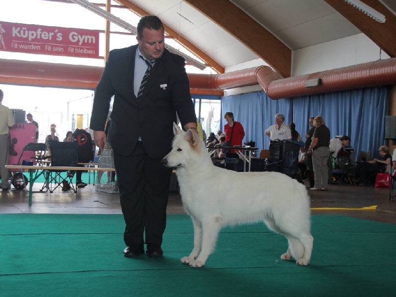 CH. Bombastic lady Vom sutumer grund - Cac, Bob, BOG 3