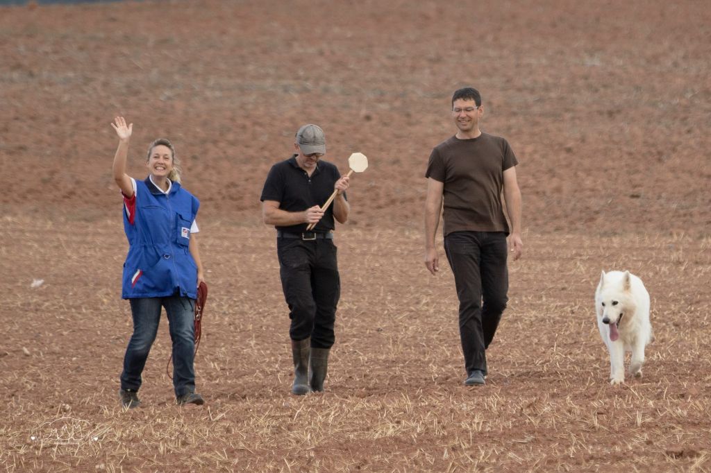 CH. Juan aiko ptits loups d´amour - 98/100 MENTION EXCELLENT