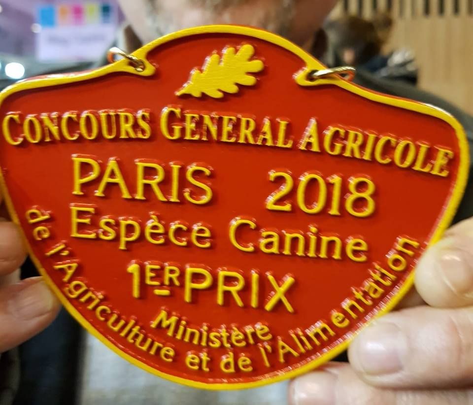 CH. Juan aiko ptits loups d´amour - 1ER PRIX POUR LE LOT REPRODUCTEUR