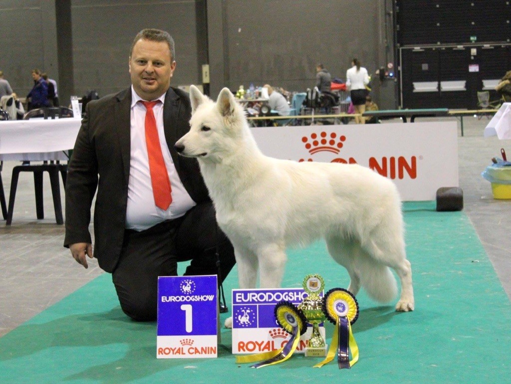 CH. Juan nando Of White Swan - Meilleur jeune