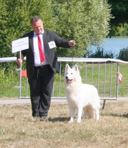 CH. Juan aiko ptits loups d´amour - 1ER EXC CLASSE CHAMPION