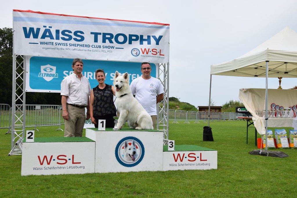 CH. Juan nando Of White Swan - 1ER TRES PROMETTEUR