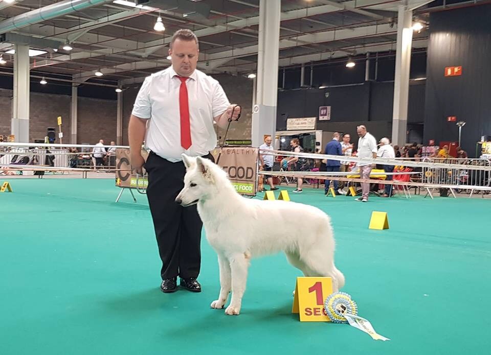 CH. Juan nando Of White Swan - Meilleur jeune