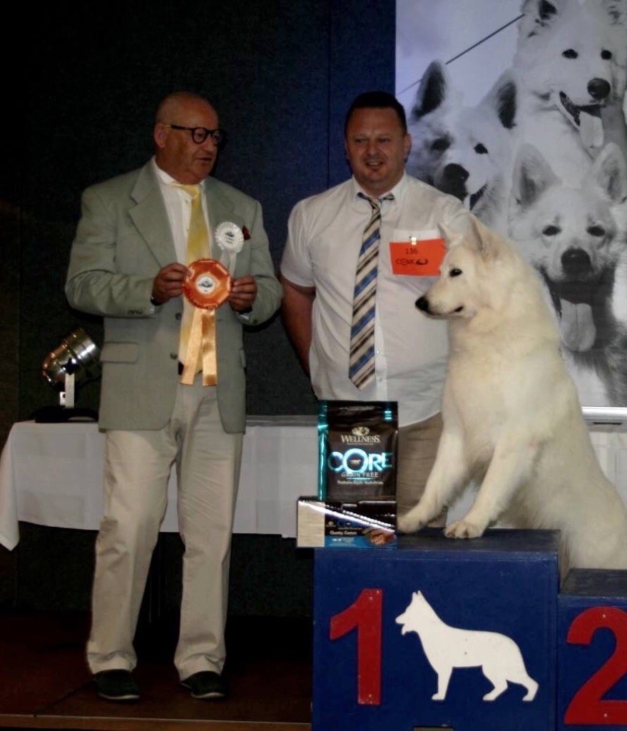 CH. Juan aiko ptits loups d´amour - Meilleur chien de travail et auslese