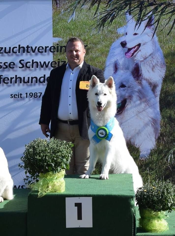 CH. Juan nando Of White Swan - MEILLEUR JEUNE