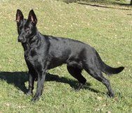 Publication : North'n Explorer's Auteur : North'n Explorer's