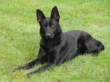 Publication : North'n Explorer's Auteur : North'n Explorer's