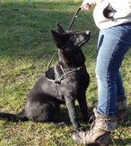 Publication : North'n Explorer's Auteur : North'n Explorer's