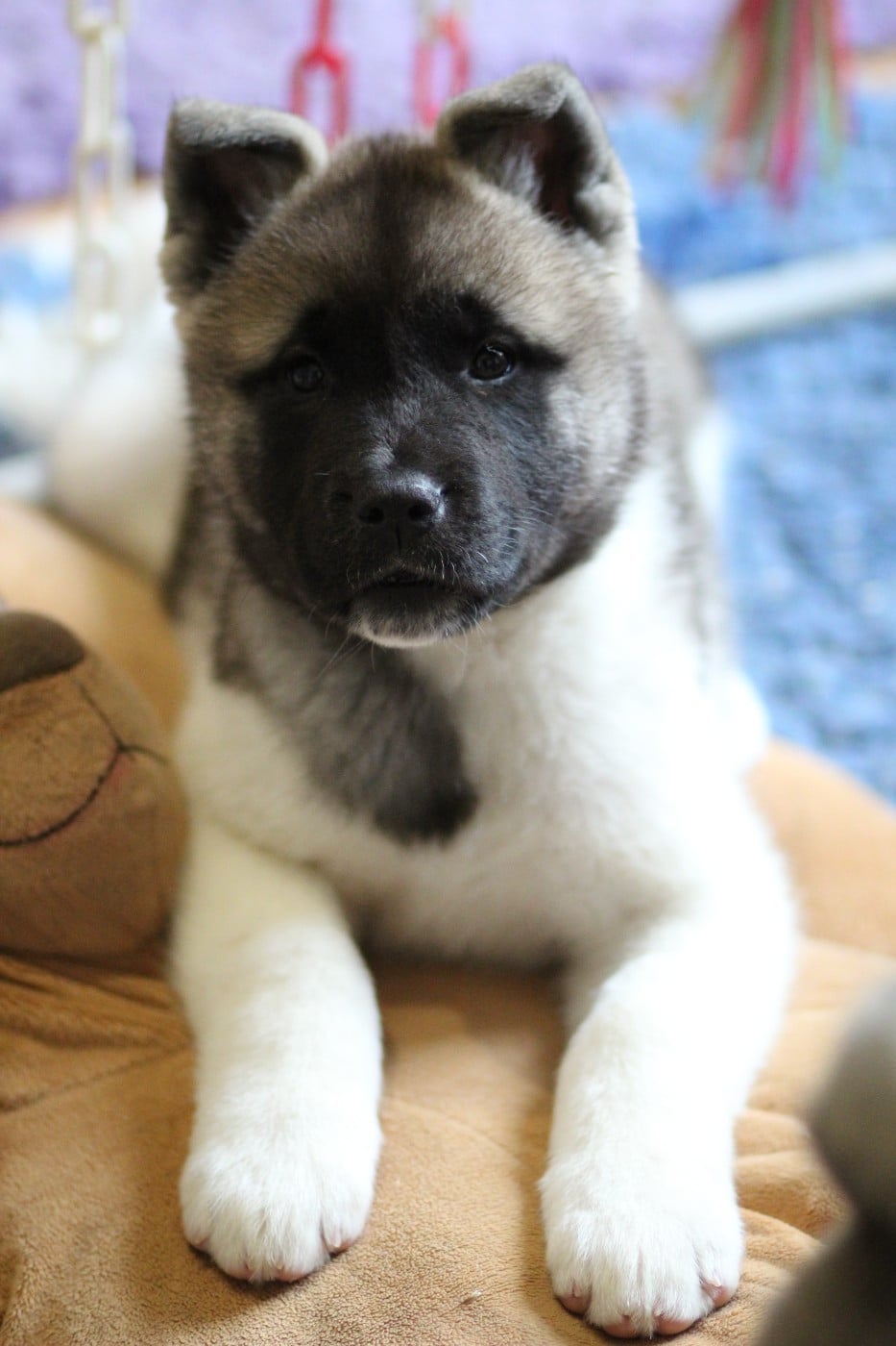 A new kind of love "Lovely"