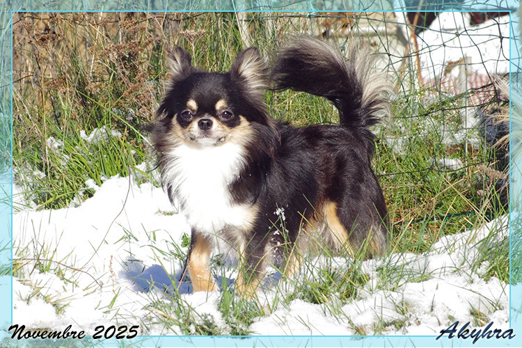 Velous Noir Valren Du royaume de Matiliane